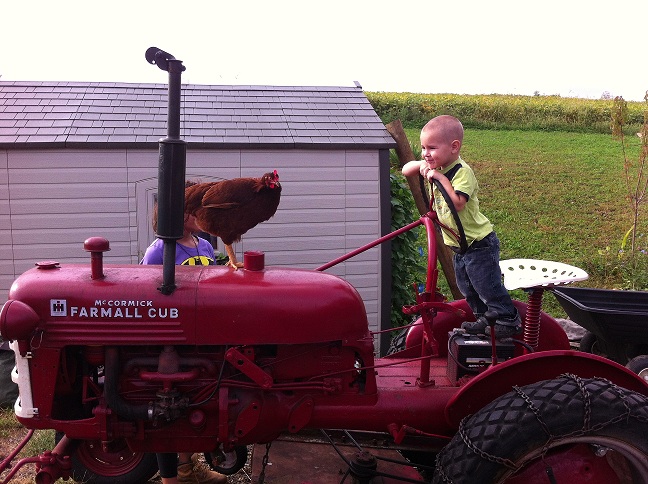 tractor chikken and wes small.jpg