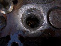 100_6396 (Medium).JPG