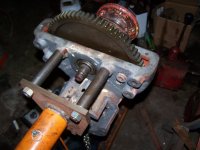 100_9004 (Medium).JPG