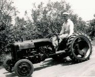 lowcub.jpg