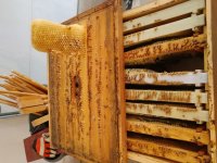 Honey Super Nov 2018.jpg