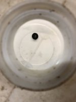 F37031DB-3B68-45AD-A83E-602173BEFB29.jpeg