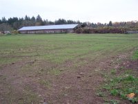 100_2217 (Medium).JPG