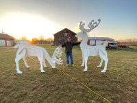 Big Deer.jpg
