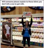 milk.jpg milk.jpg
