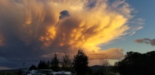 20230720_210223.jpg 20230720_210223.jpg