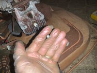 IMG_2755.jpeg
