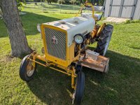 Yellow Cub (2).jpg