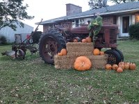 Giant Pumpkin 2025.jpg