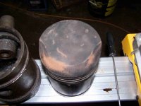 100_8094-m.JPG