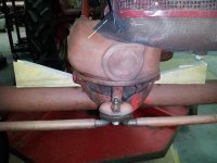Cub wedges 2.jpg
