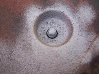 100_8712-m.JPG