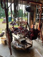 IMG_7789.jpeg IMG_7789.jpeg