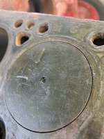 IMG_5584.jpeg