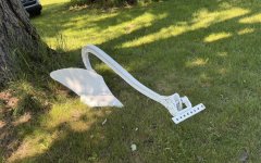 IMG_1488.jpeg