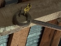 IMG_6992.jpeg