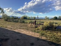IMG_0831.jpeg