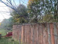 IMG_0208.jpeg