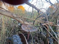 IMG_0212.jpeg
