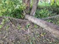 IMG_0213.jpeg
